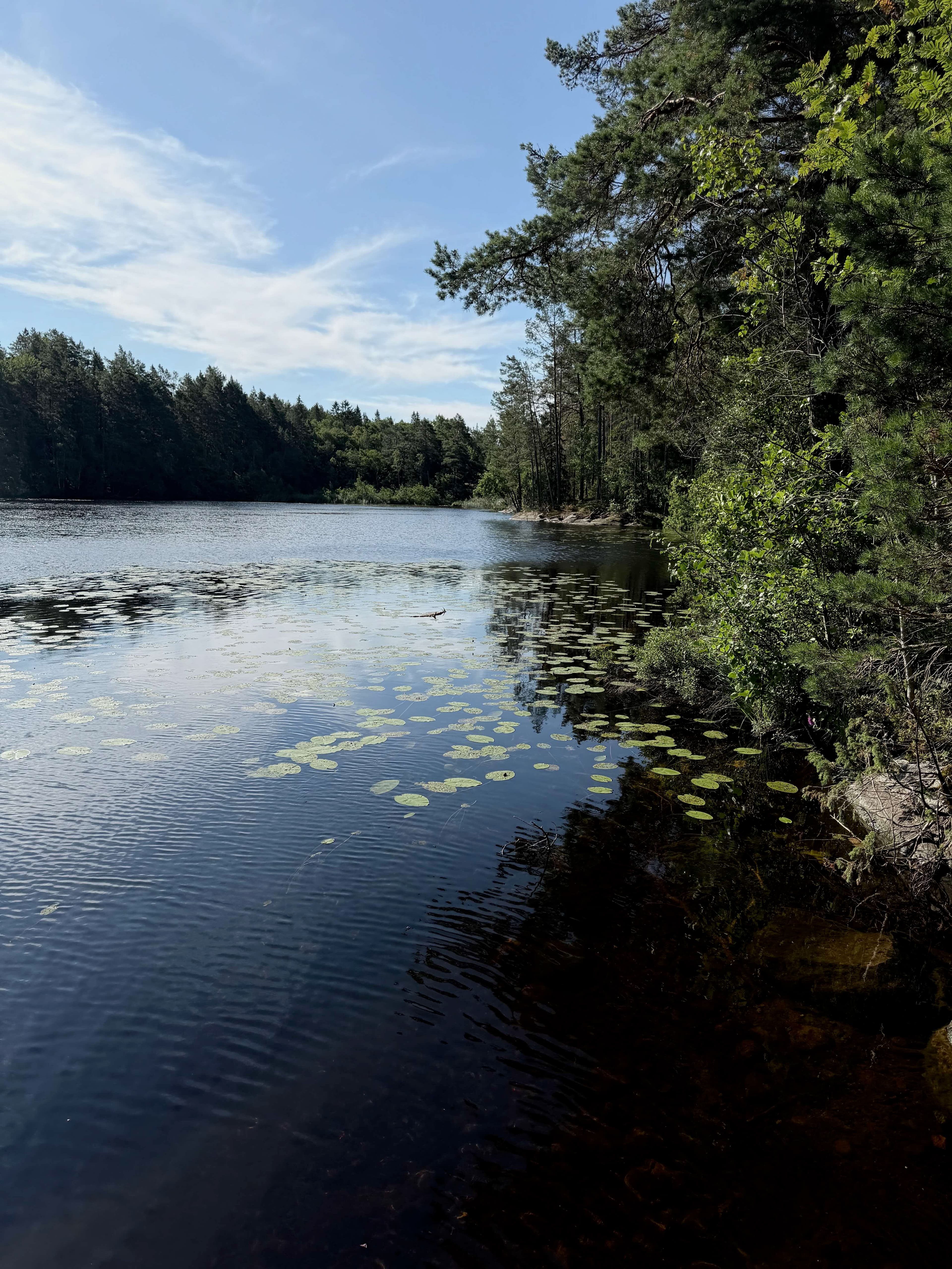 Öns sju träsk